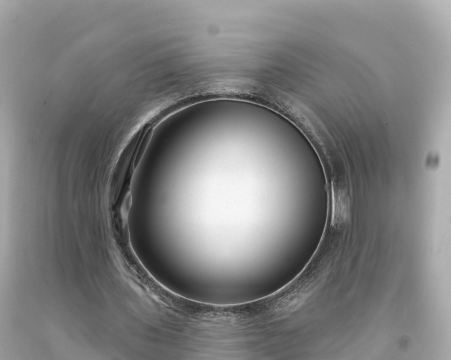 X0000094230435200711021207