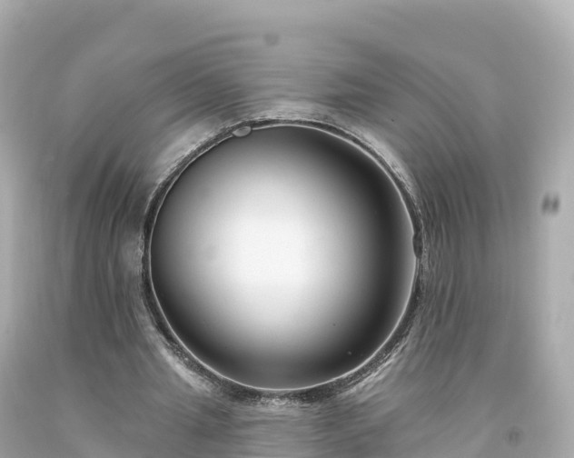 X0000094230437200711021207