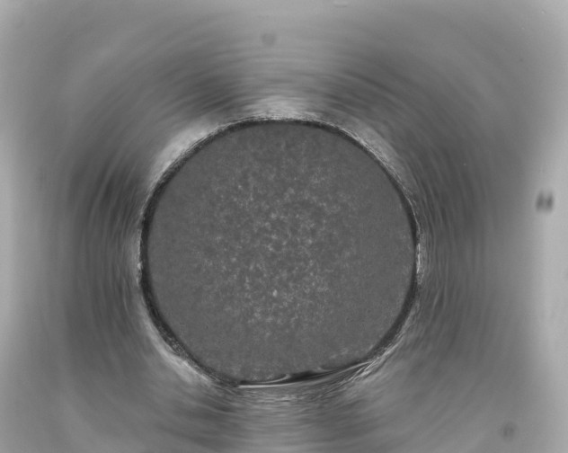 X0000094230438200711021207