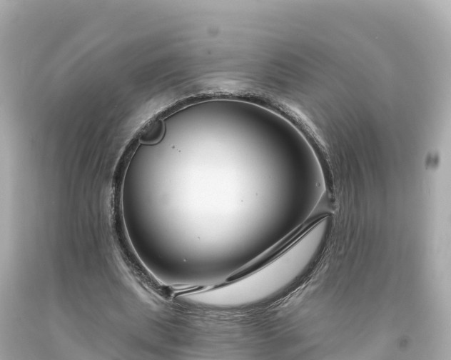 X0000094230439200711021207