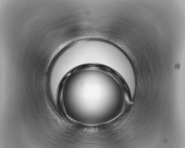 X0000094230440200711021207