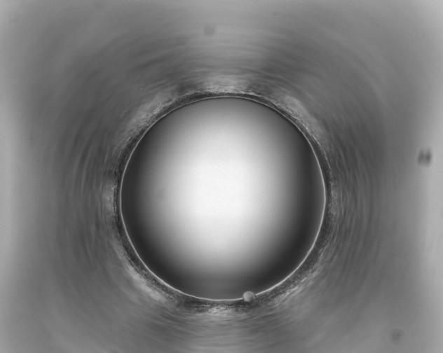 X0000094230441200711021207