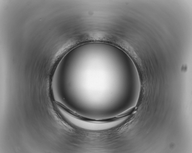 X0000094230442200711021207