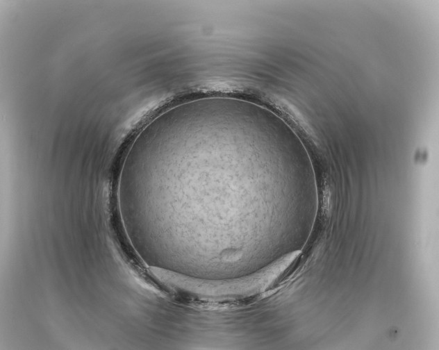 X0000094230444200711021207