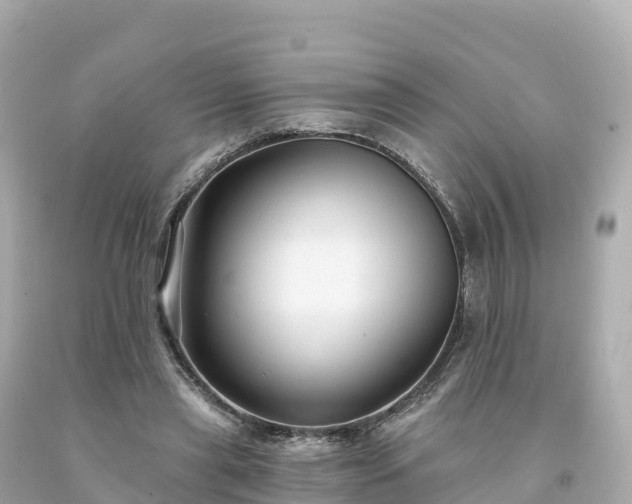 X0000094230445200711021207