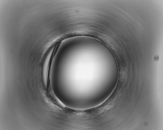 X0000094230446200711021207