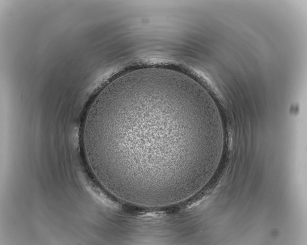 X0000094230447200711021207