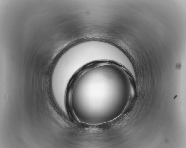 X0000094230448200711021207