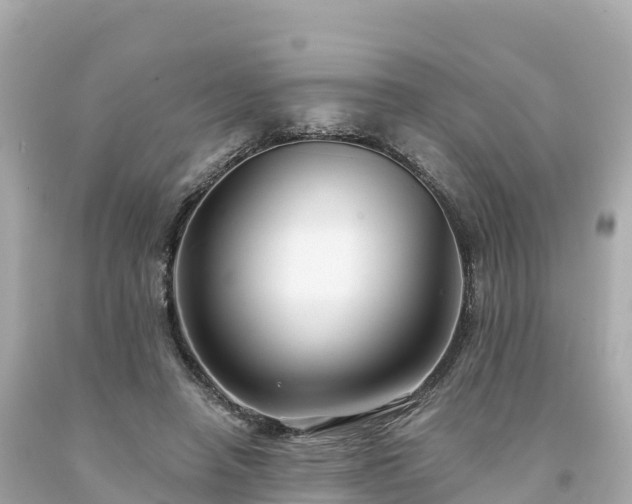 X0000094230450200711021207