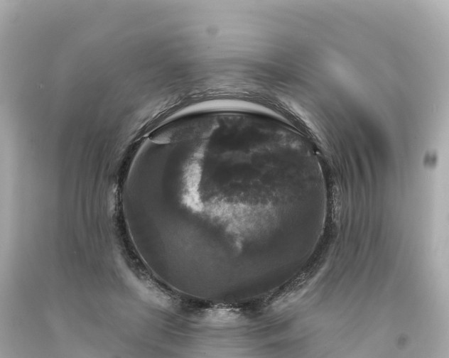 X0000094230451200711021207