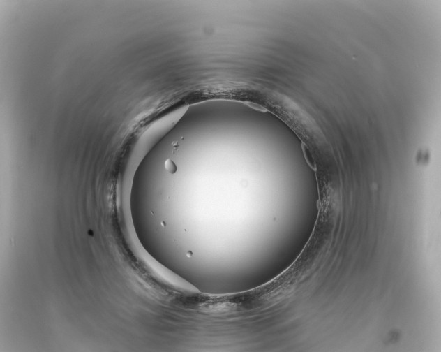 X0000094230452200711021207