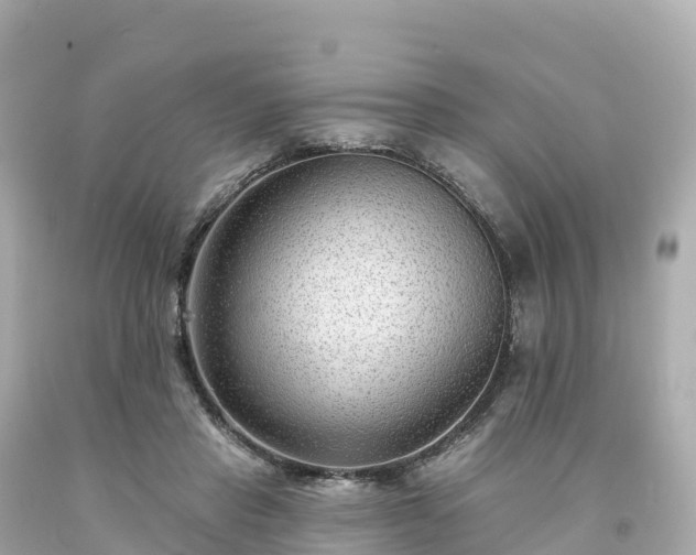 X0000094230453200711021207