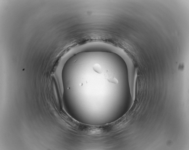 X0000094230456200711021207