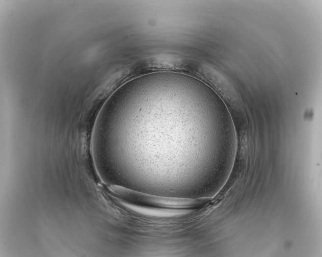 X0000094230457200711021207