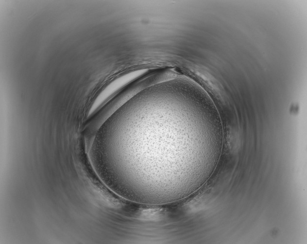 X0000094230461200711021207