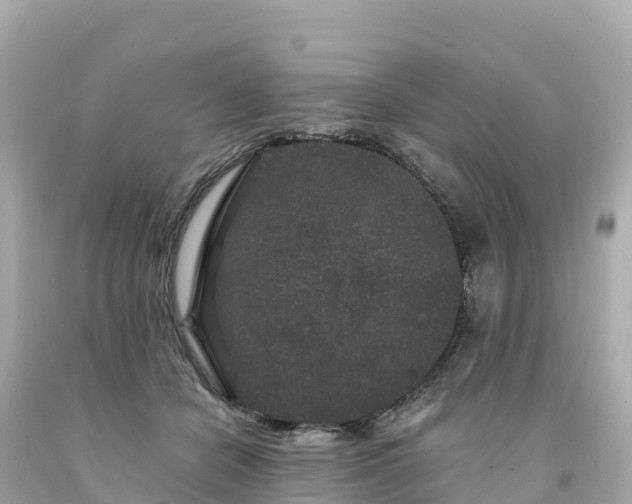 X0000094230462200711021207