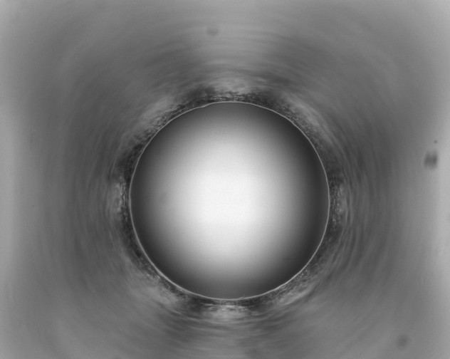 X0000094230463200711021207