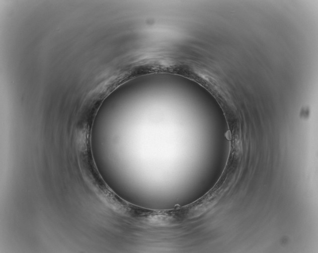 X0000094230468200711021207