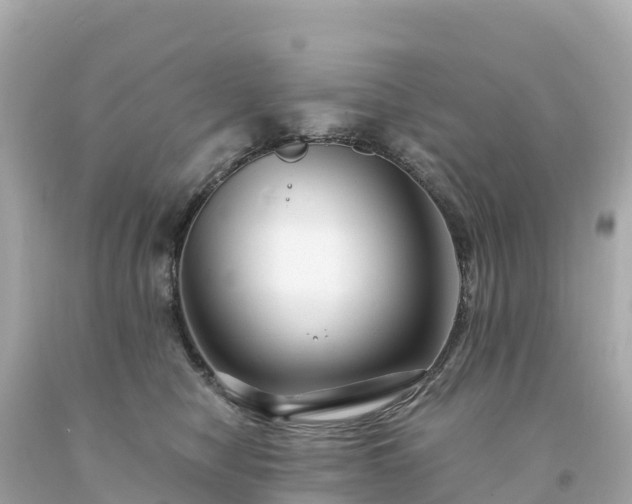 X0000094230470200711021207