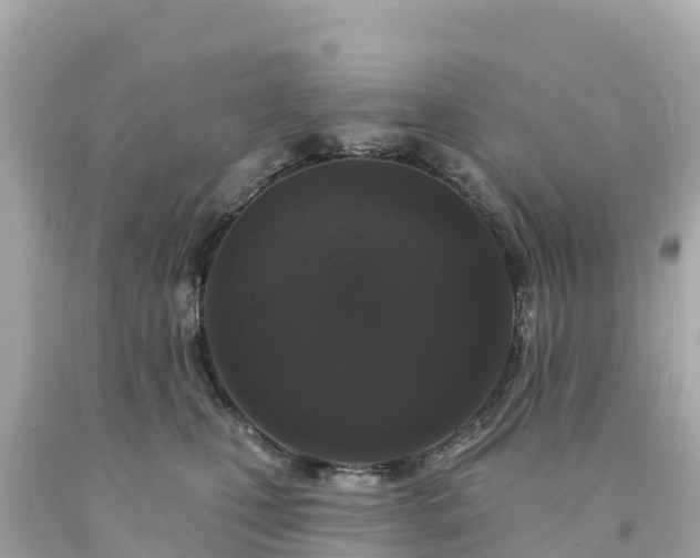 X0000094230471200711021207