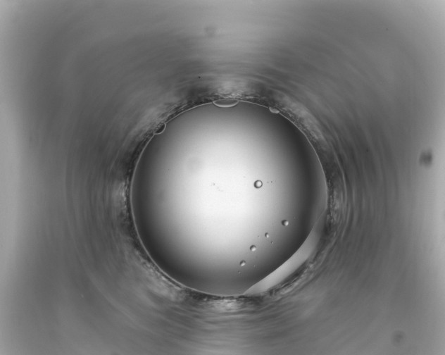 X0000094230473200711021207