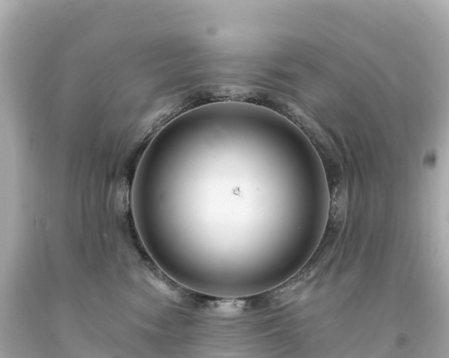 X0000094230474200711021207