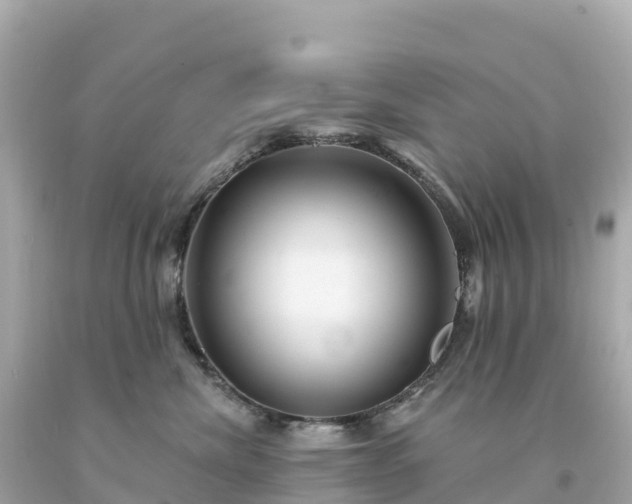 X0000094230476200711021207