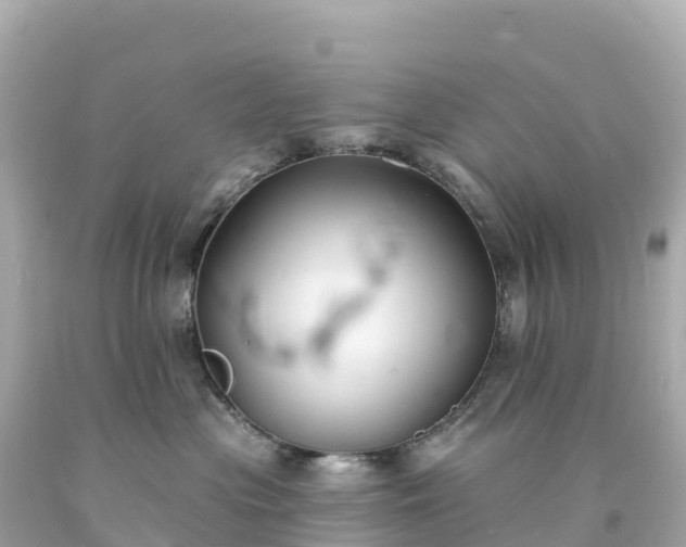 X0000094230477200711021207