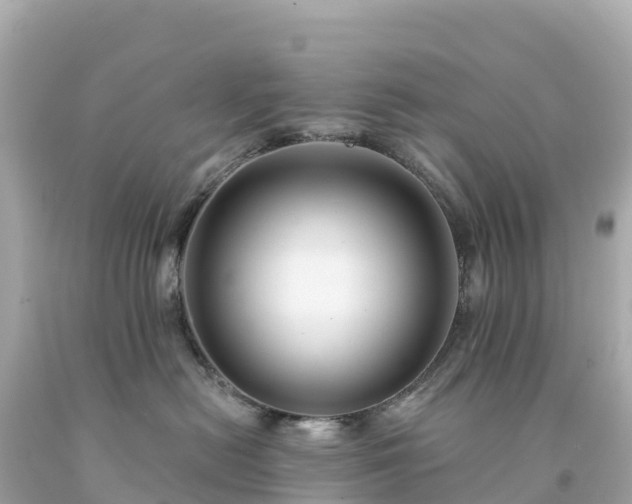 X0000094230478200711021207