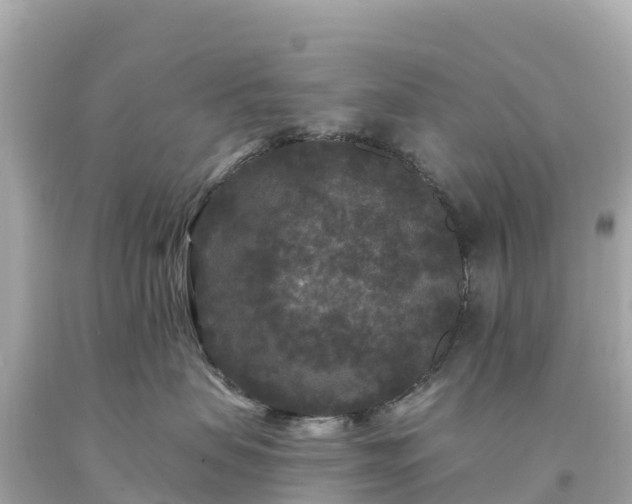 X0000094230479200711021207