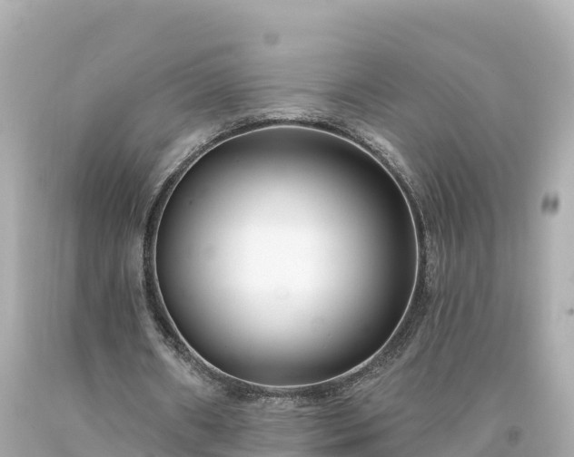 X0000094230482200711021207