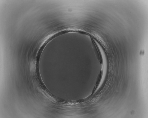 X0000094230484200711021207