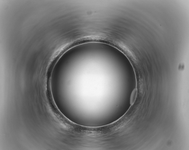 X0000094230486200711021207