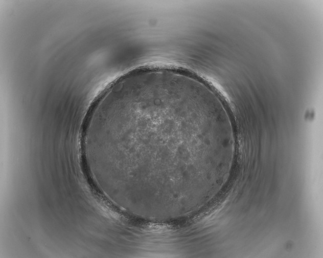 X0000094230487200711021207