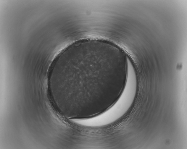 X0000094230488200711021207