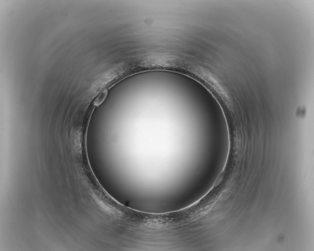 X0000094230489200711021207