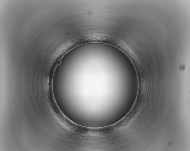 X0000094230490200711021207