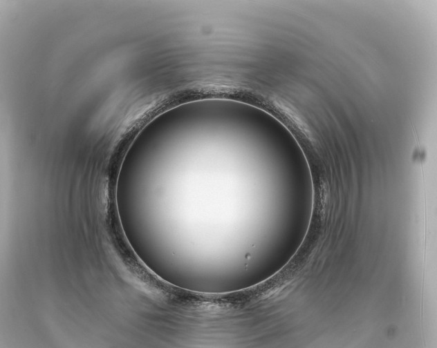 X0000094230494200711021206