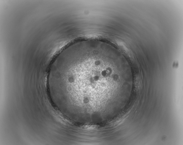 X0000094230495200711021206