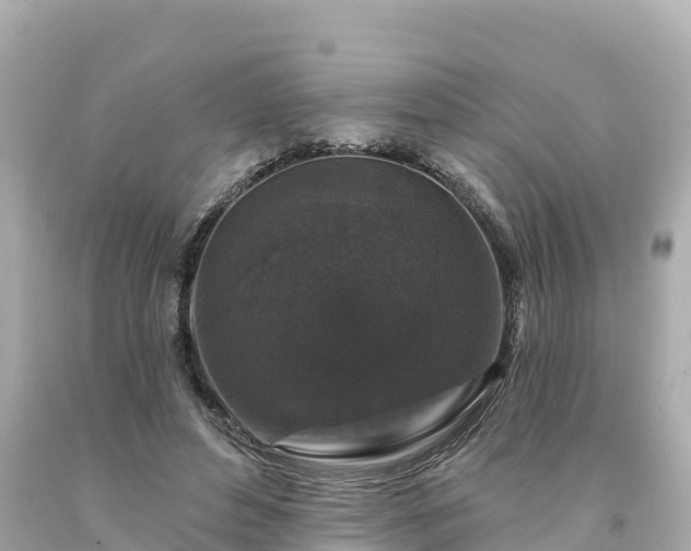 X0000094230496200711021206