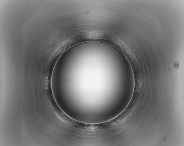 X0000094230497200711021206