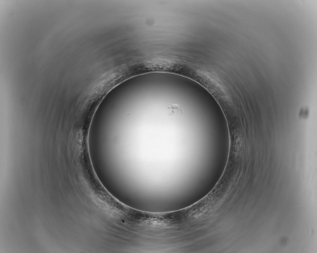 X0000094230498200711021206