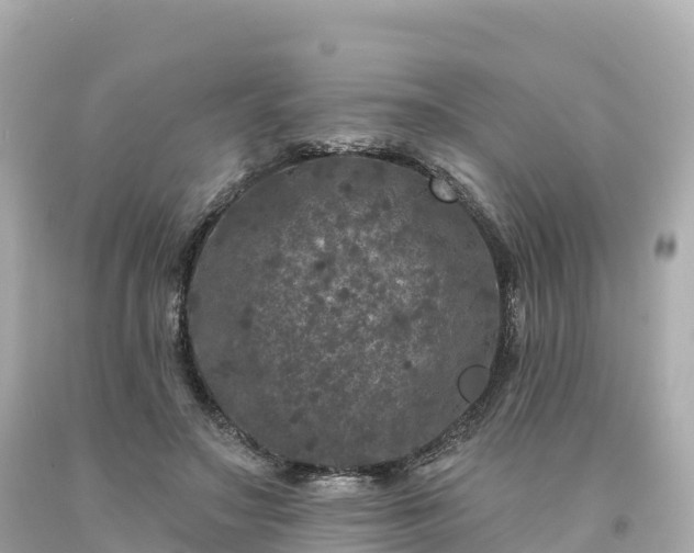 X0000094230499200711021206