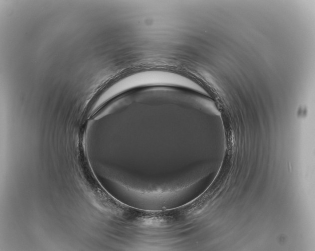 X0000094230500200711021206