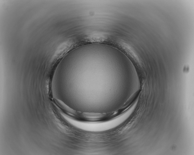 X0000094230501200711021206