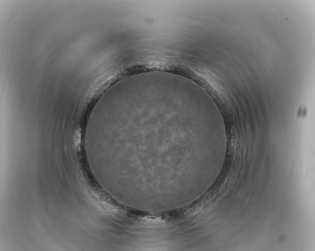 X0000094230502200711021206