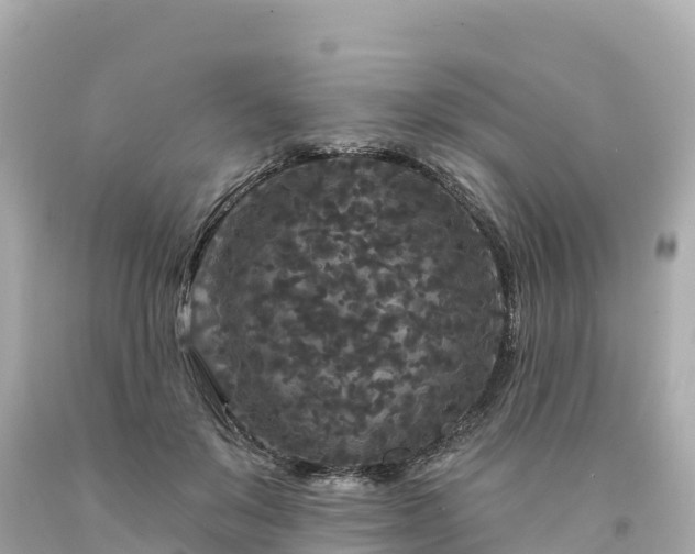 X0000094230503200711021206