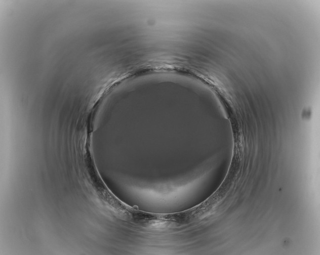 X0000094230504200711021206