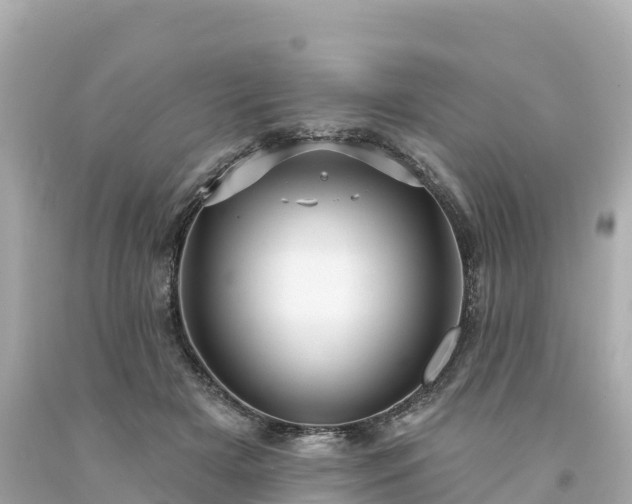 X0000094230505200711021206