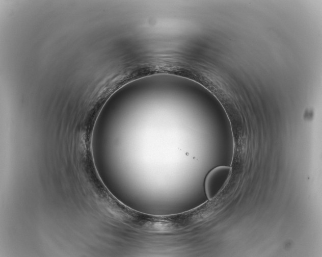 X0000094230506200711021206